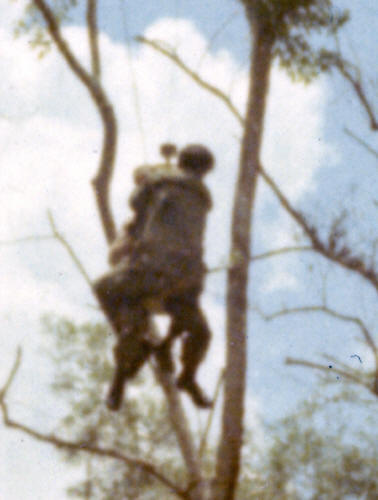 two sitting patients being extracted on a jungle penetrator [Pavlovich]