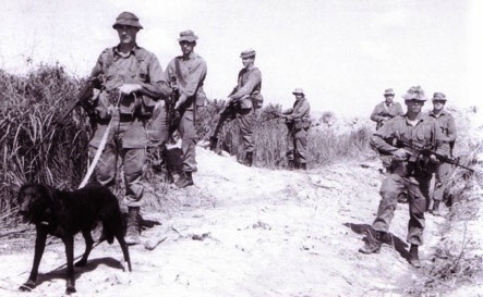 Milo & Pte Ron Johnson handler, with 2RAR tracker dog patrol 1970