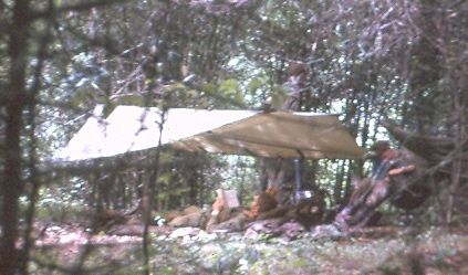 lightweight shelter in bamboo [Philip]